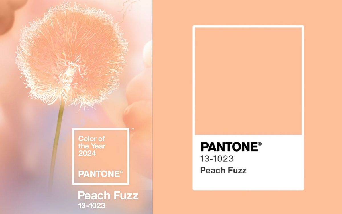 2024 PANTONE色票Peach Fuzz (柔和桃)